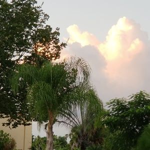 Meet your Posher, Cathy